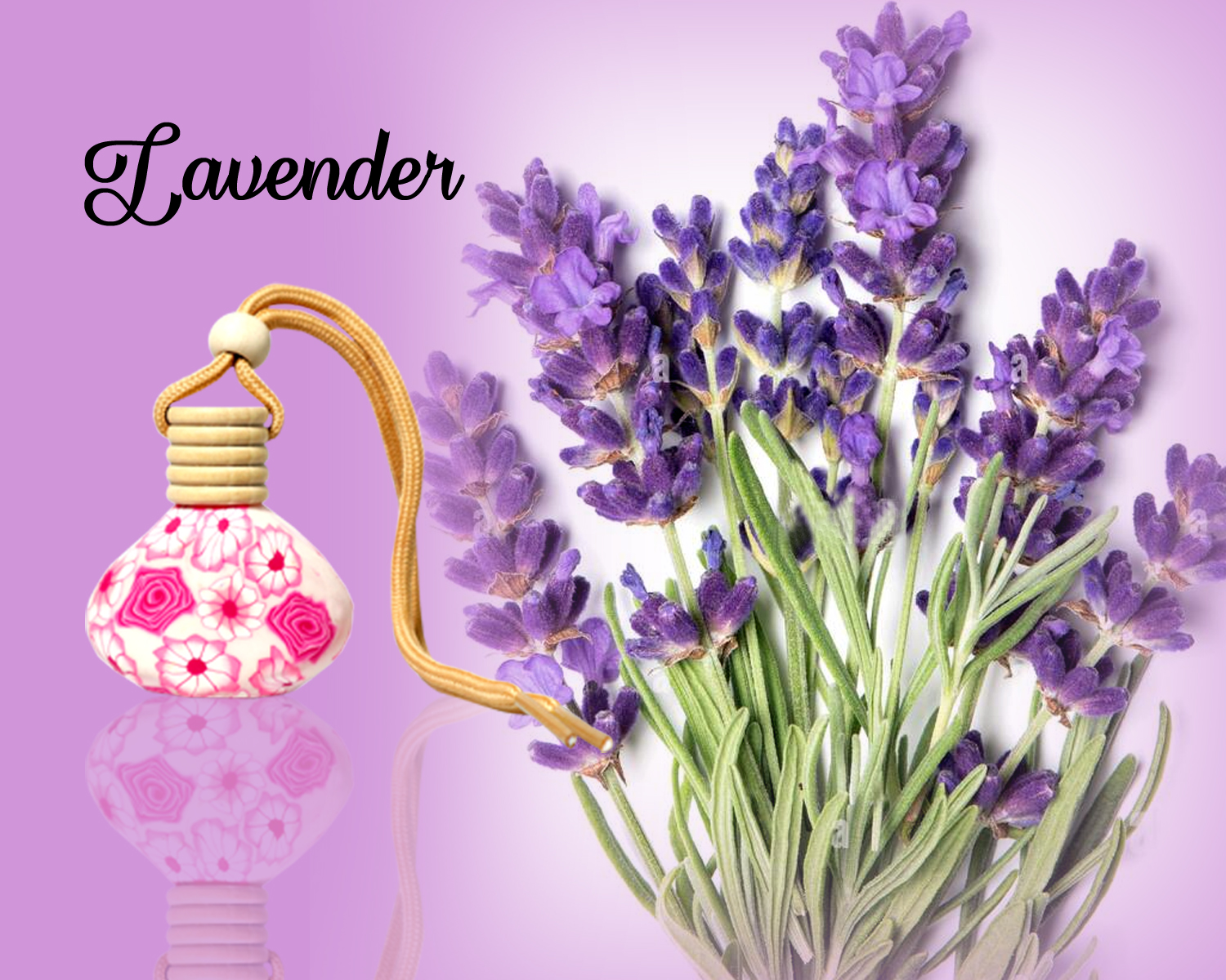 lavender lavender