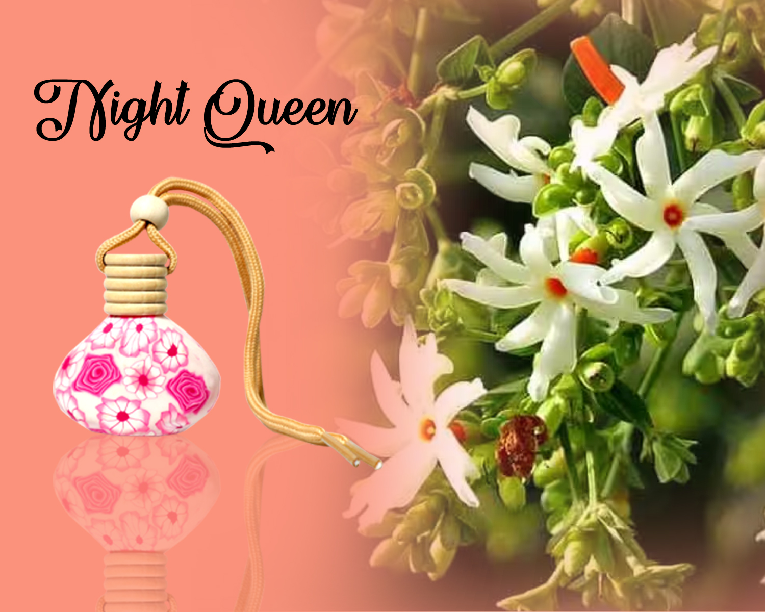 night queen night queen