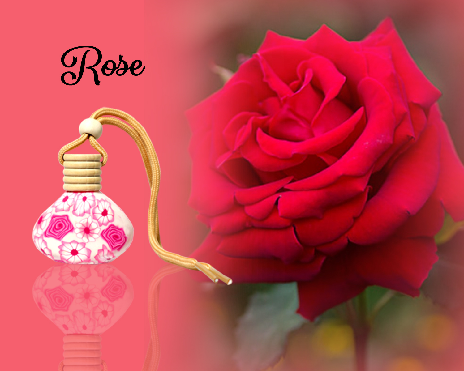 rose rose